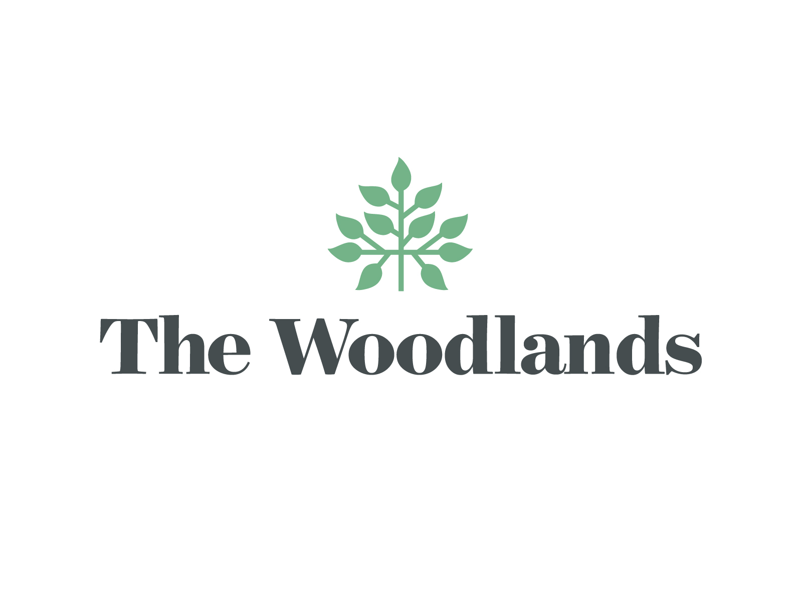 The Woodlands by Shawn Ramsey on Dribbble