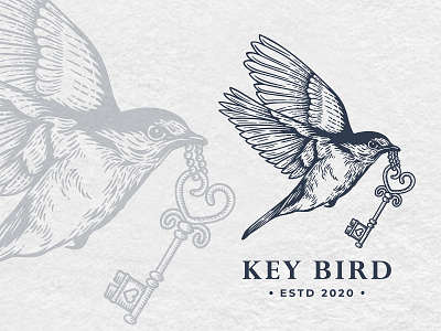Key Bird bird illustration bird logo brand design graphicdesign illustration logo logovintage symbol