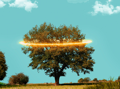 Angel tree blue sky clouds grass halo landscape nature nimbus phptography raster graphics tree