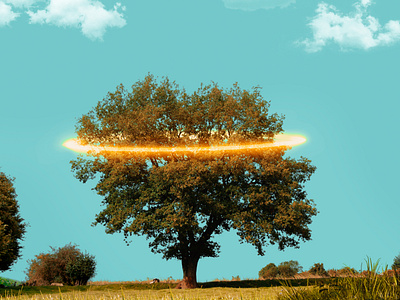 Angel tree blue sky clouds grass halo landscape nature nimbus phptography raster graphics tree