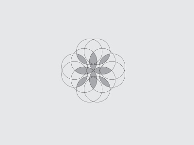 Faiza. branding design golden graphic design icon illustration logo