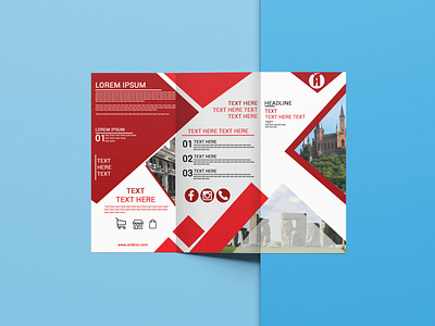 Trifold Brochure Design