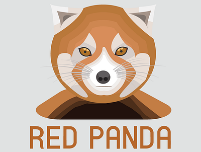 Red Panda Illustration illustration