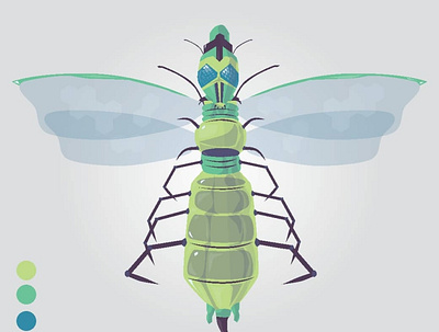 Insect adobe illustrator design illustration vector