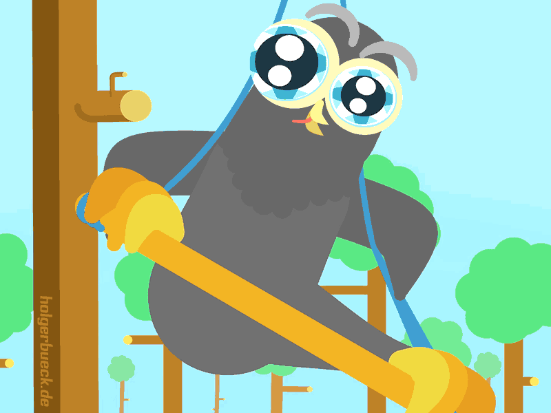 first flying lesson animation owl swing