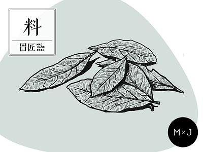 Maojiang Bay Leaf badge bay leaf branding design graphic icon illustration logo print sketch
