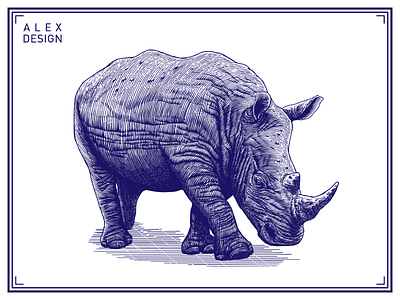 Engraving Rhino branding draw engraving graphic illustration paint print rhino