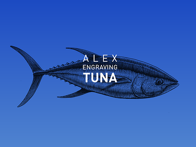 Engraving Tuna branding draw engraving graphic illustration paint print tuna