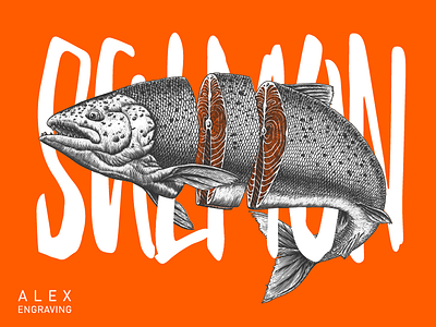 engraving salmon drawing engraving graphic illustraion painting salmen
