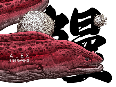 engraving eel detail drawing eel engraving graphics illustration painting print