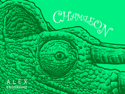 Engraving Chameleon detail