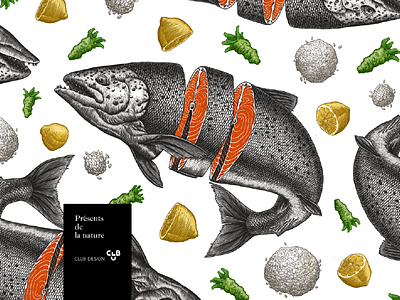 Salmon Layout drawing engraving freehand graphic illustration layout lemon painting print rice salmon