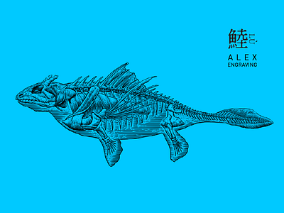 Engraving 鯥 beast engraving fish freehand graphic illustration painting print skeleton