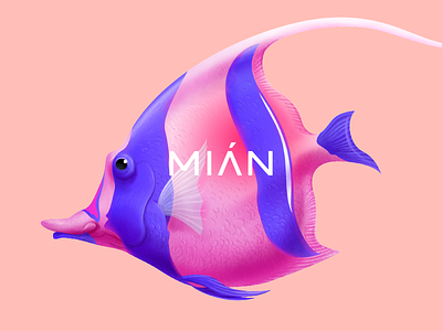 Mian  tropical fish