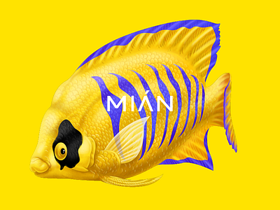 Mian fish design drawing fish graphic illustration painting print