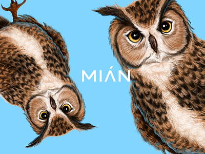 Mian Bird bird illustration