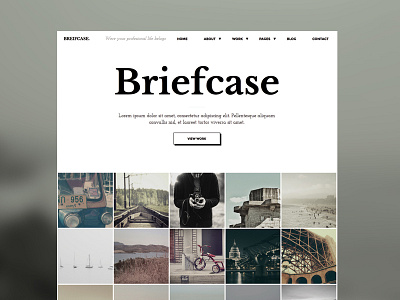 Briefcase HTML Template html minimal themeforest web design