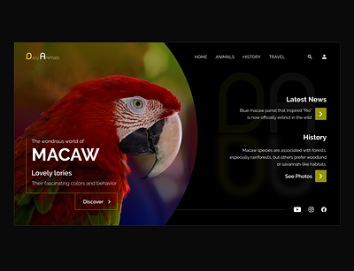 Macaw Bird - Daily Animals Web Concept Design animals art banner design design landingpage mockup mockup design ui ux web website