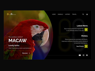 Macaw Bird - Daily Animals Web Concept Design