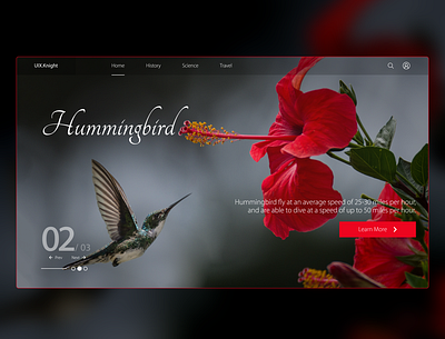 Hummingbird banner design carousel concept design digital design flower fly hummingbird hummingbirds interface interfacedesign landingpage minimal mockup design red ui uiux webdesign website