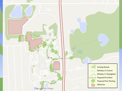 Turtle Corridors Map