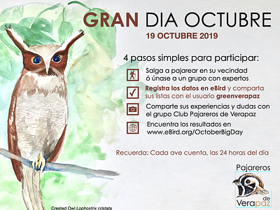 Grand Dia Octubre