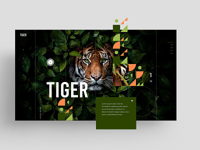 WEBSITE - UX - TIGER animal animals black branding icon illustration logo mark marks tiger ux website