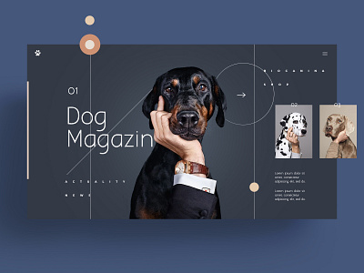 WEB - DOG animal app branding design illustration logo symbol typography ui ux web