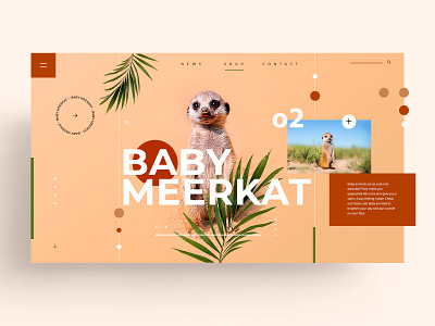 WEB - BABY MEERKAT animal icon identity illustration logo marks meerkat symbol ui ux vector