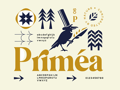 primea bird branding crow design gold icon identity illustration leaf logo marks symbol ui uxu vector web