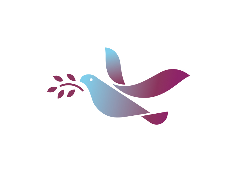 Bird by matthieumartigny on Dribbble