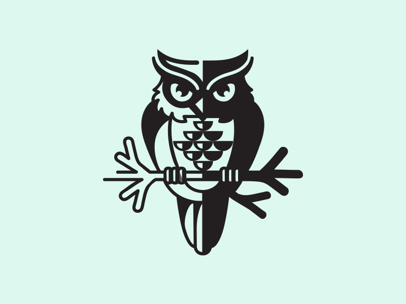 Owl by matthieumartigny on Dribbble