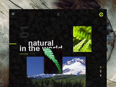 Natural / Web button design forest landscape menu natrual navigation page site typography ux web