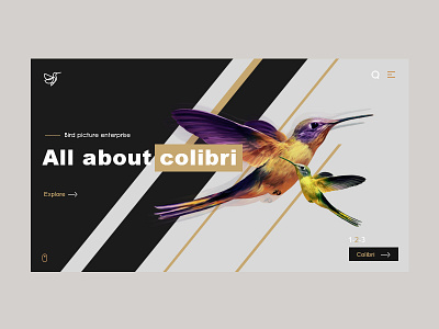 Colibri web page bird colibri design flight grid interface menu page ui ux web website