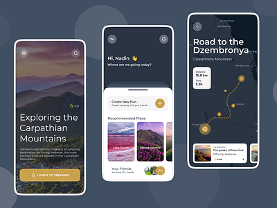 Travel App app design mobile app design ui uidesign user interface design ux