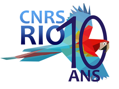 Logo CNRS Rio 10 years design illustration logo