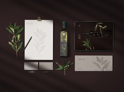 Olive Oil Brand Identity brand brand agency brand design brand identity branding branding design illustration logo olive olive branch olive oil olives photography rebrand rebranding