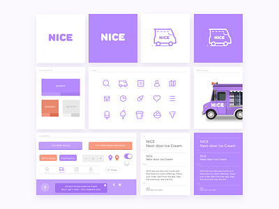 Nice Style Guide branding delivery icecream icon style guide