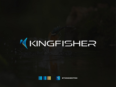 kingfisher bird logo app icon best logo bird logo brand design brand identity branding business logo flat logo gradient logo graphicdesign illustraion illustrator kingfisher kingfisher logo logo logo design minimal minimal logo minimalist logo modern logo