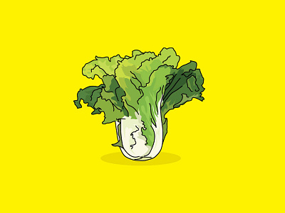 Cabbage cabbage illustration jade