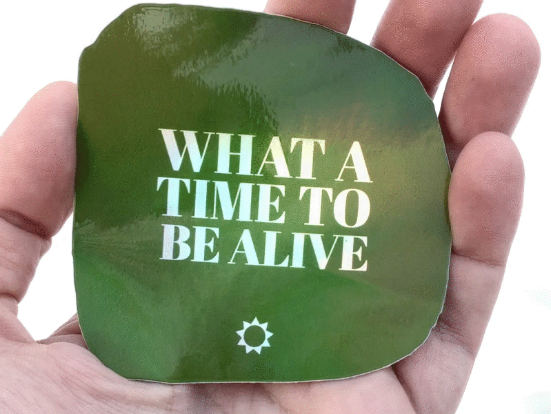 What a Time to be Alive green holographic holographic foil optimism positivity serif simple sticker sticker design sticker mule stickermule sun sunny what a time to be alive
