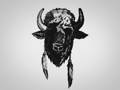 Buffalo Illustration buffalo design drawing graphic design icon illustration logo native poster vector