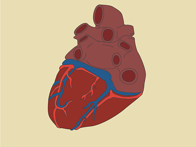 Heart Color Test anatomy color test icon