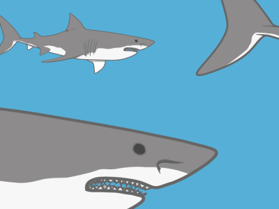 Shark Parade animation loop sharks