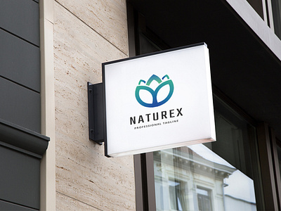 Naturex Logo