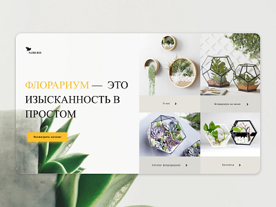 Florarium design figma flat flora flower flowers ui ux web website