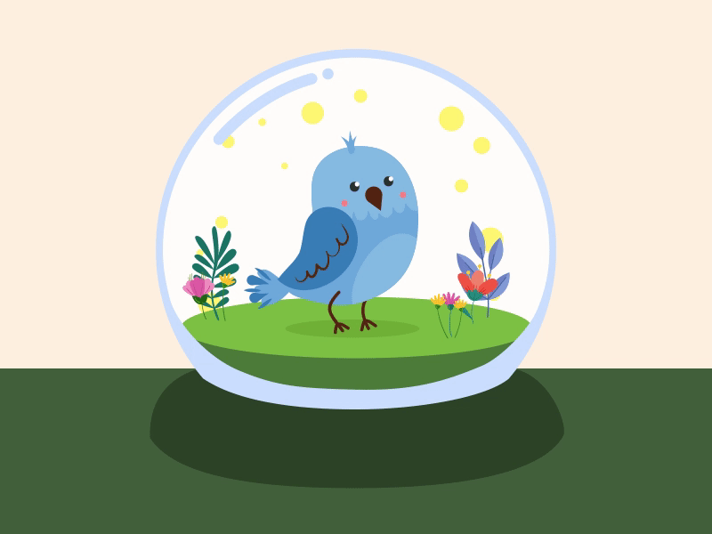 Bird in ball adobe after effects animation animation 2d animation after effects bird bird in ball illustration vector