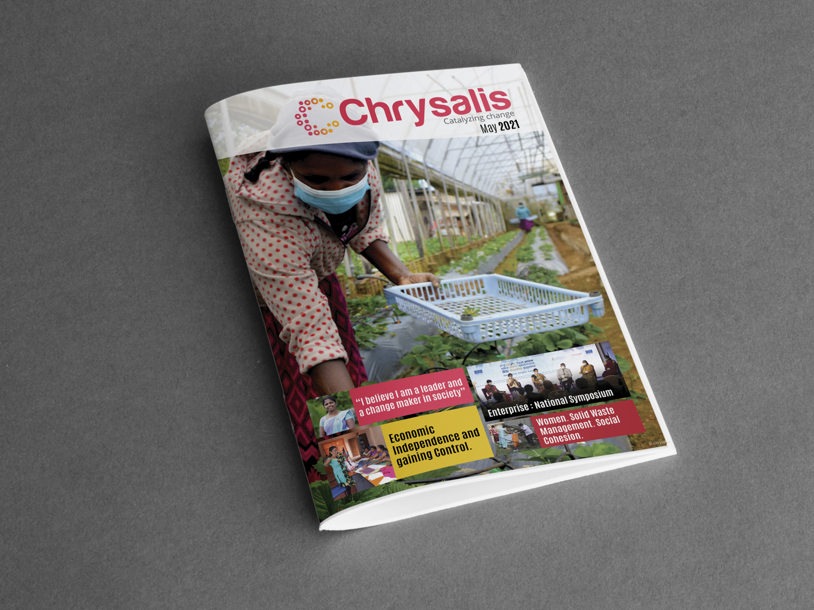 Newsletter Design Chrysalis May 21 By Lishan Puwakovitage On Dribbble