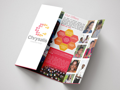Finalized Brochure Design for Chrysalis corporate design graphic illustraion print