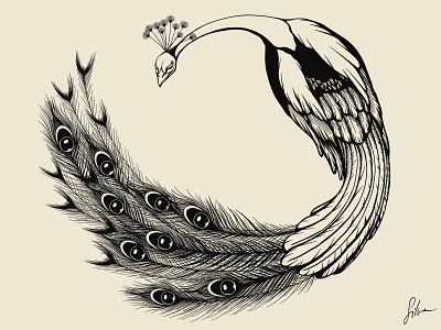 Peacock black digital illustration illustration illustration art illustrator lineart peacock procreate art shirt design